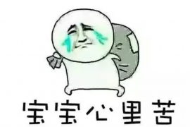 中卫遇到恶意拖欠？专业追讨公司帮您解决烦恼